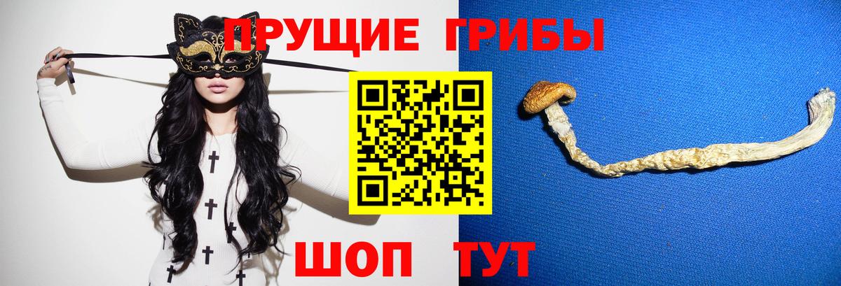 Галлюциногенные грибы GOLDEN TEACHER  Вход с VPN  Железноводск 